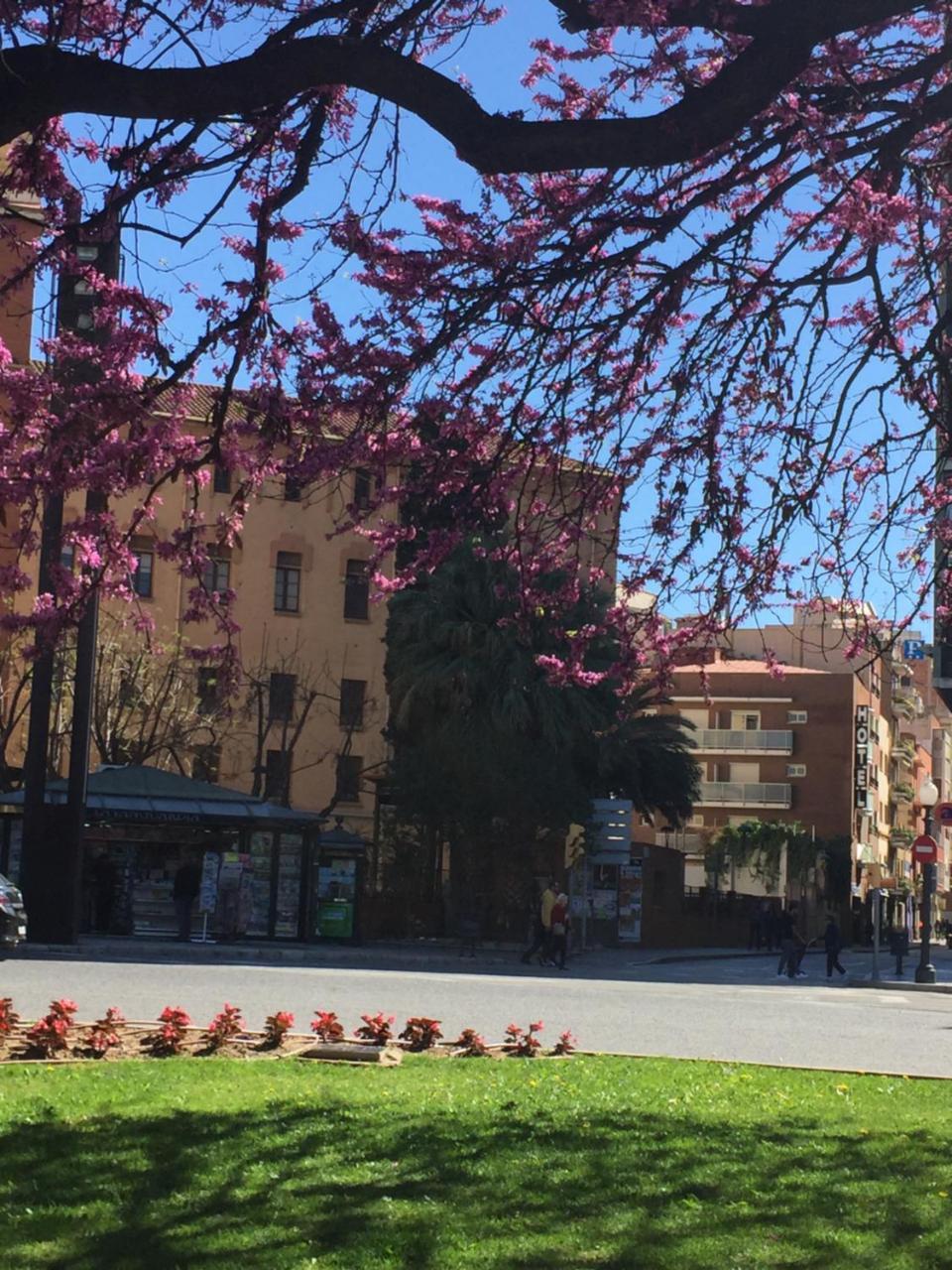 Hotel Cosmos Ταραγόνα Εξωτερικό φωτογραφία